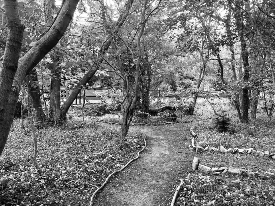 Jackdaw Wood CIC Counselling Doncaster, England